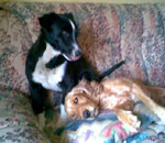 lucas y mila