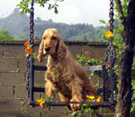 mila